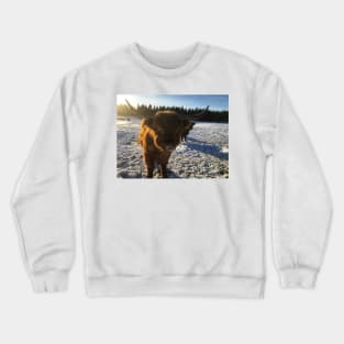 Scottish Highland Cattle Bulls 1938 Crewneck Sweatshirt